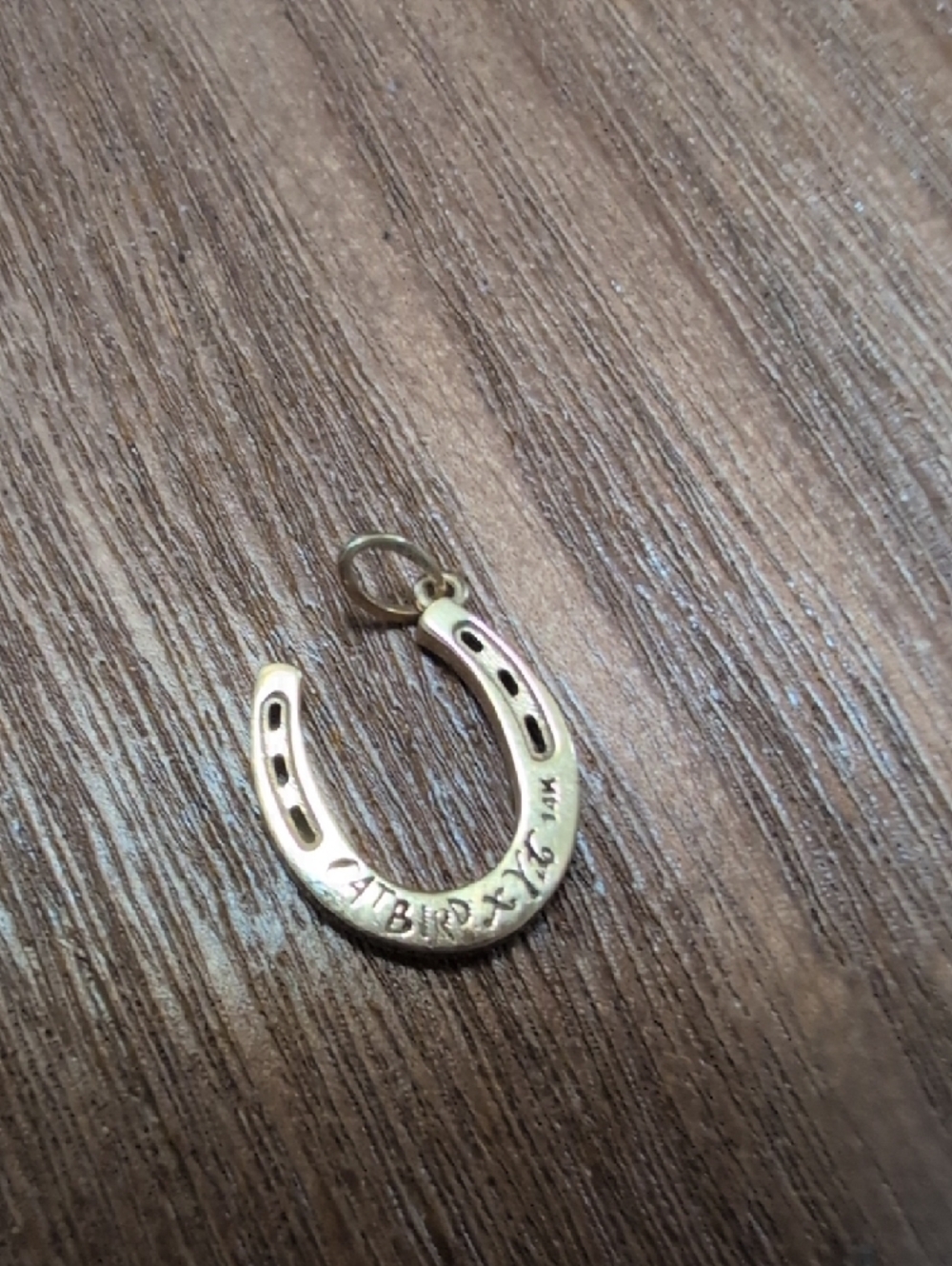 14k Gold Catbird Horseshoe Charm - Good Luck - Picture 2 of 2